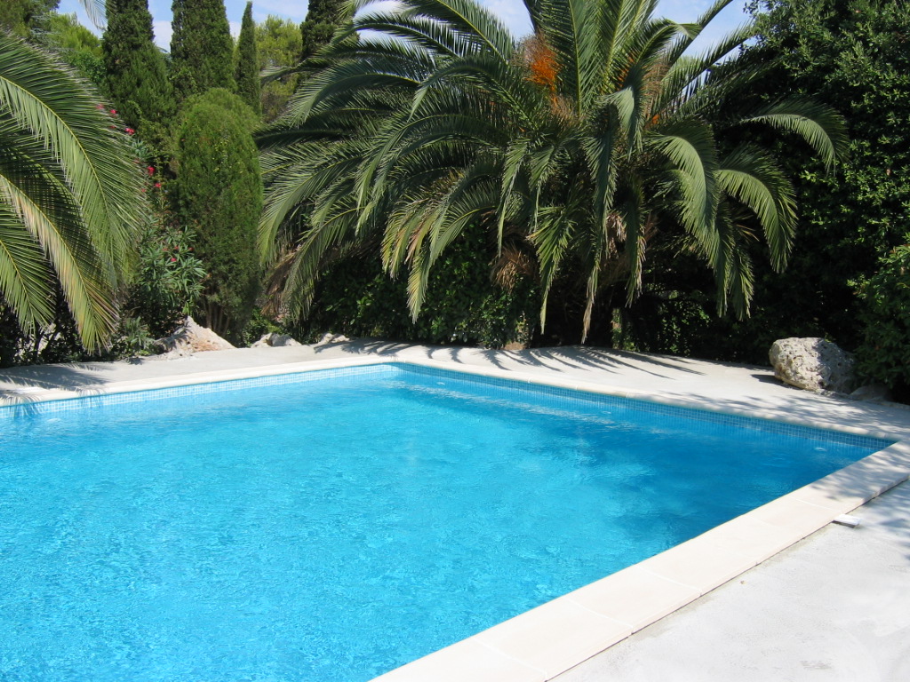 private swimming pool water treatment