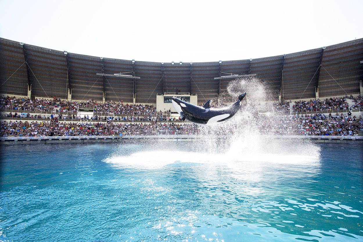 Marineland Antibes - traitement de l'eau